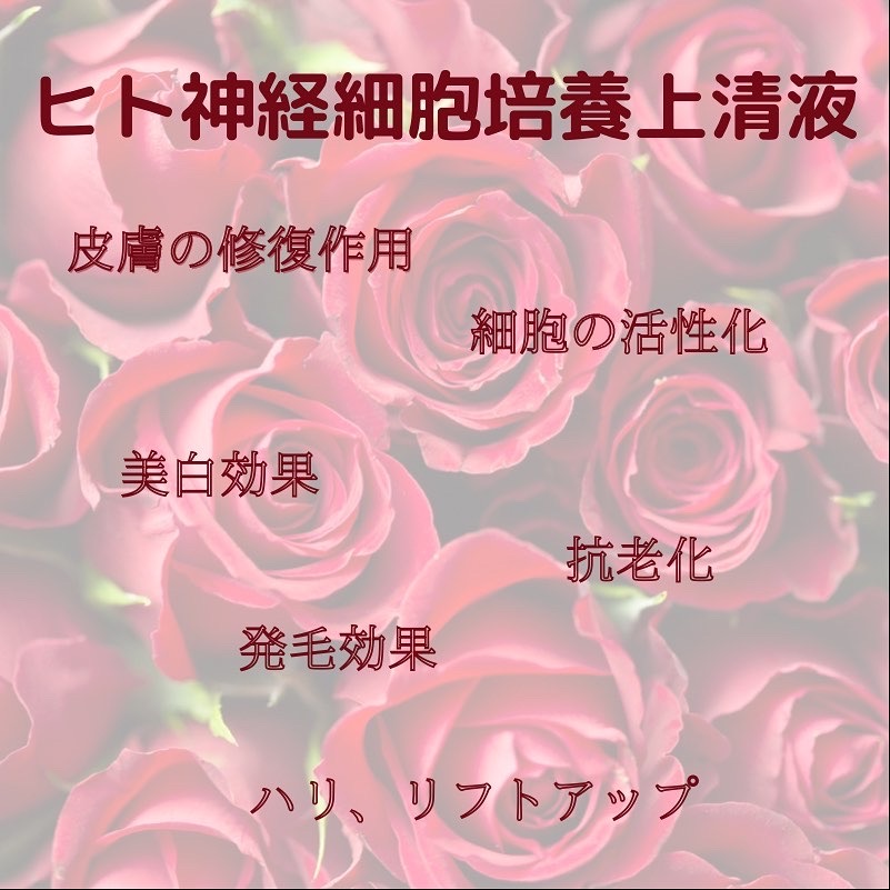 ルヴィスプレーガンについて